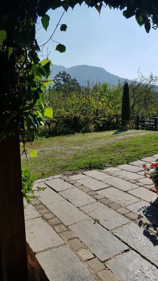 Alla Battuta Sansepolcro Dış mekan fotoğraf