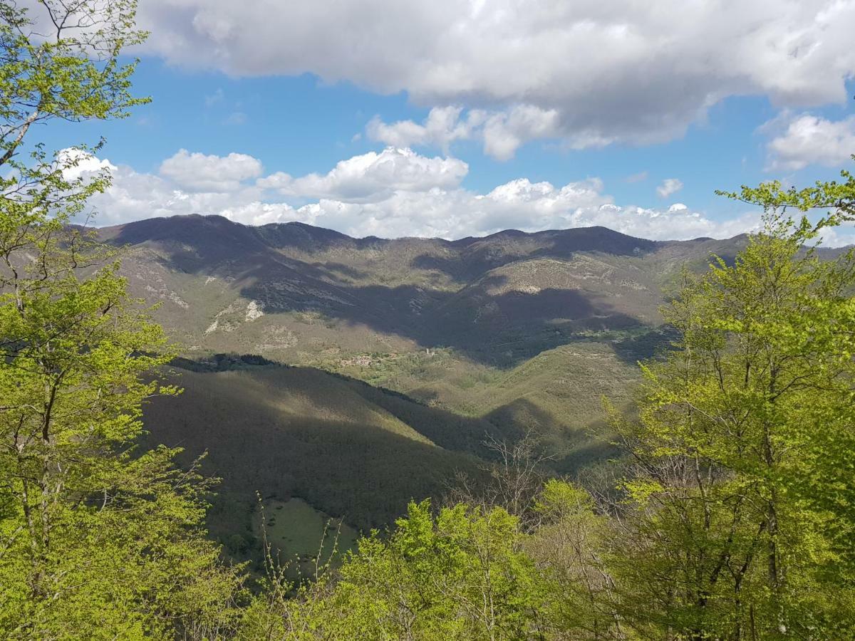 Alla Battuta Sansepolcro Dış mekan fotoğraf