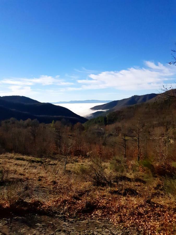 Alla Battuta Sansepolcro Dış mekan fotoğraf